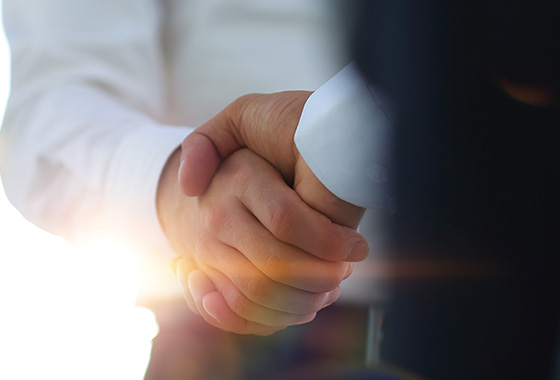 MOTORDAT Culture Office